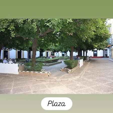En La Plaza Dona Elvira, 7 Lejlighed